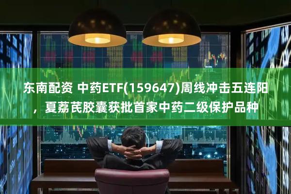 东南配资 中药ETF(159647)周线冲击五连阳，夏荔芪胶囊获批首家中药二级保护品种
