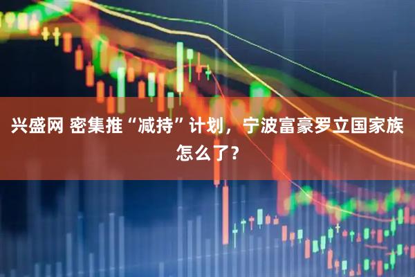 兴盛网 密集推“减持”计划,宁波富豪罗立国家族怎么了?